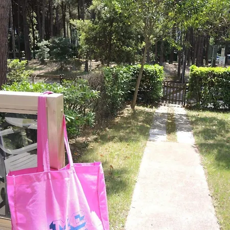 Enjoy Your In Our Lovely Flat With Garden *