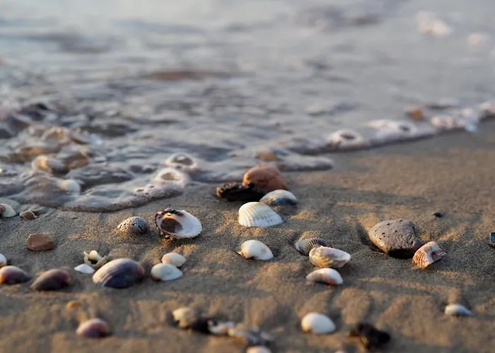 Enjoy Your In Our Lovely Flat With Garden Apartamento *